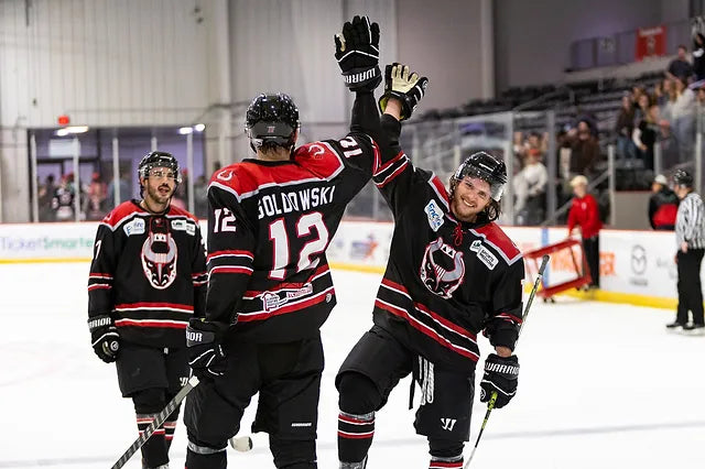 3 REASONS TO ATTEND THE BIRMINGHAM BULLS OCTOBER 18TH GAME